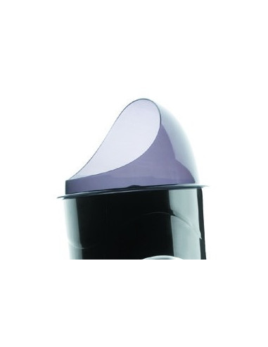 Exprimidor Electrico Profesional naranjas