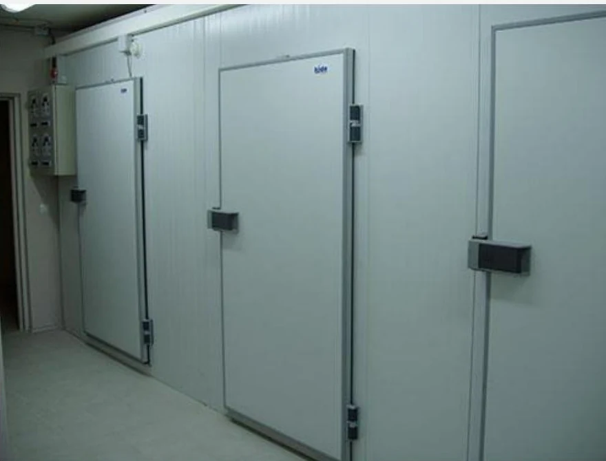 Cámaras frigoríficas profesionales con puertas isotérmicas